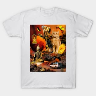 Orange Cat Peaceful Buddha Sunset Heaven T-Shirt